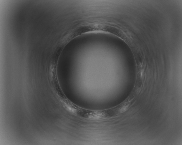X0000071380235200606231254
