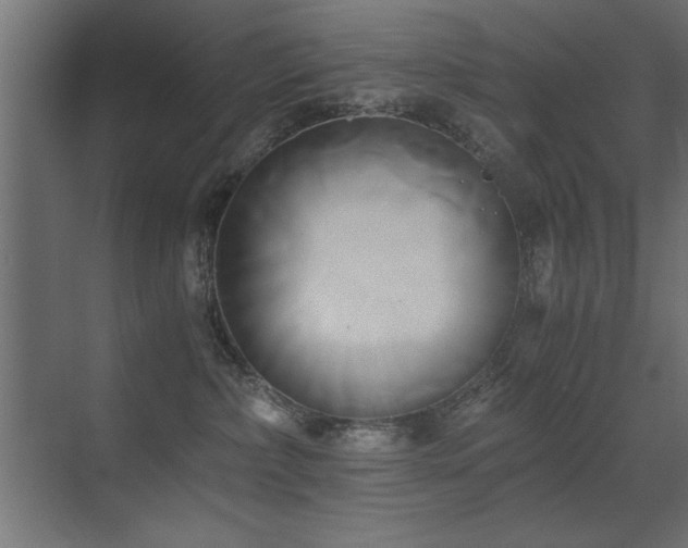 X0000071380236200606231254