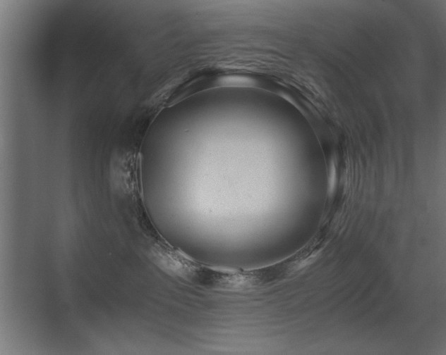 X0000071380237200606231254
