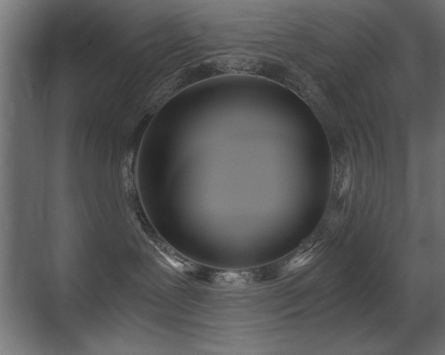 X0000071380239200606231254