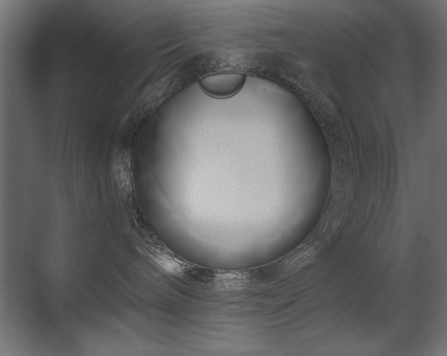 X0000071380240200606231254