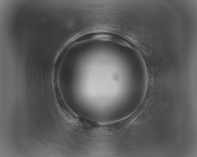 X0000071380244200606231253