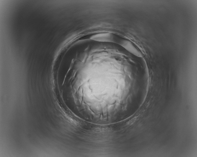 X0000071380245200606231253