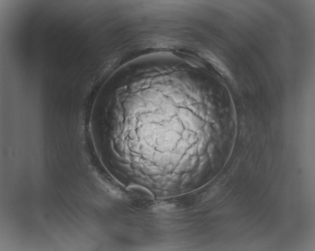 X0000071380257200606231253