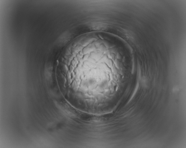 X0000071380263200606231253