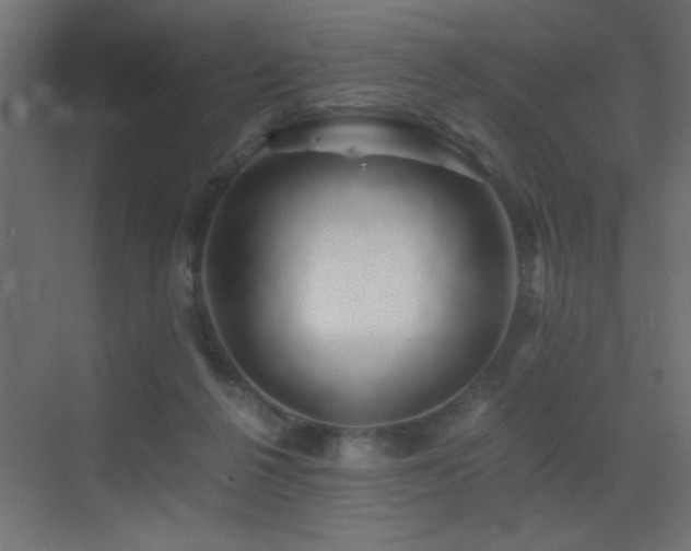 X0000071380264200606231253