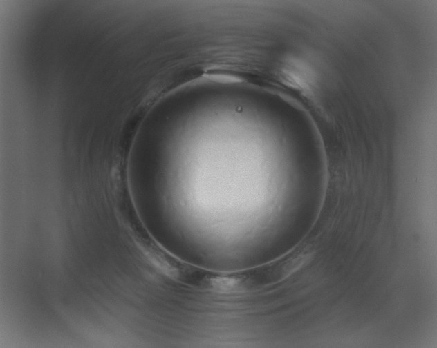 X0000071380265200606231253
