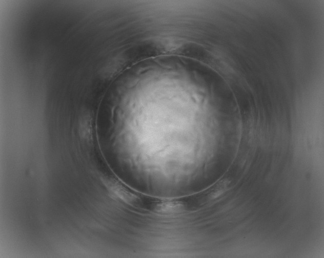 X0000071380274200606231253