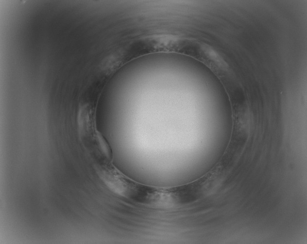 X0000071380276200606231254