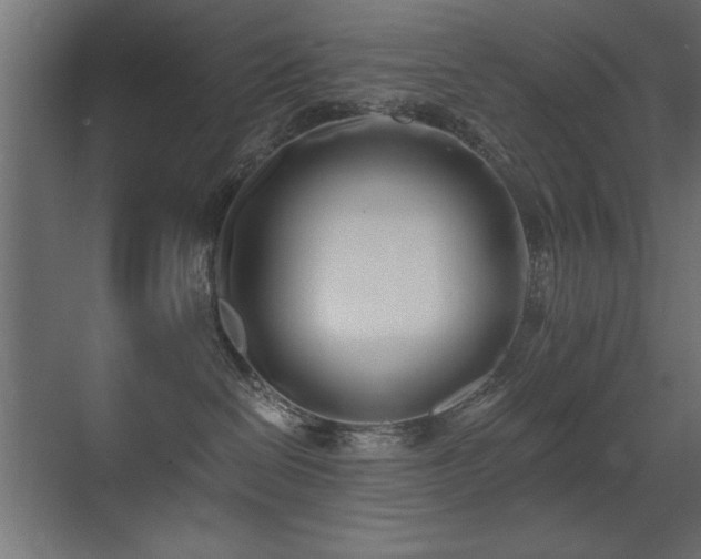 X0000071380286200606231254