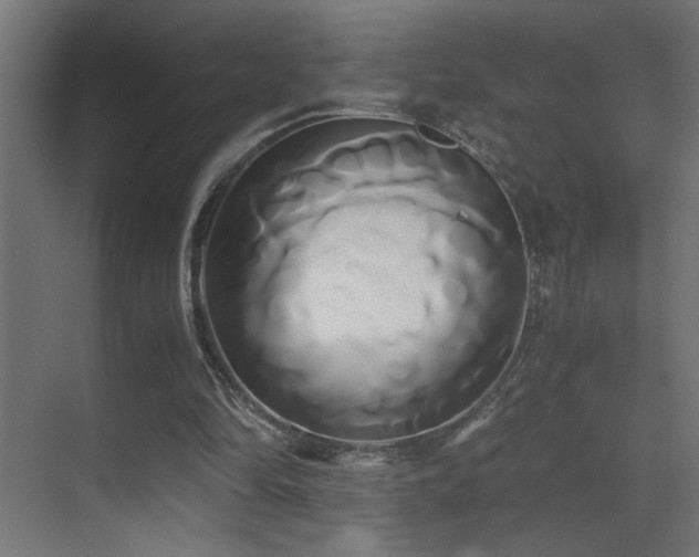 X0000071380294200606231253