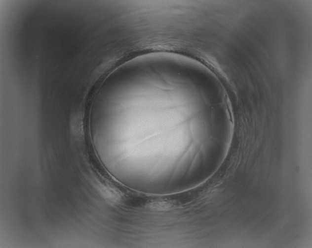 X0000071380299200606231253