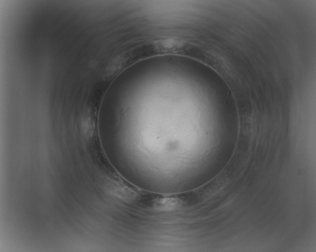 X0000071380324200606231252