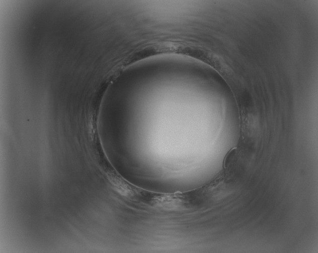 X0000071380331200606231252