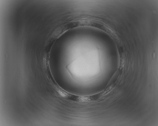 X0000071380333200606231252