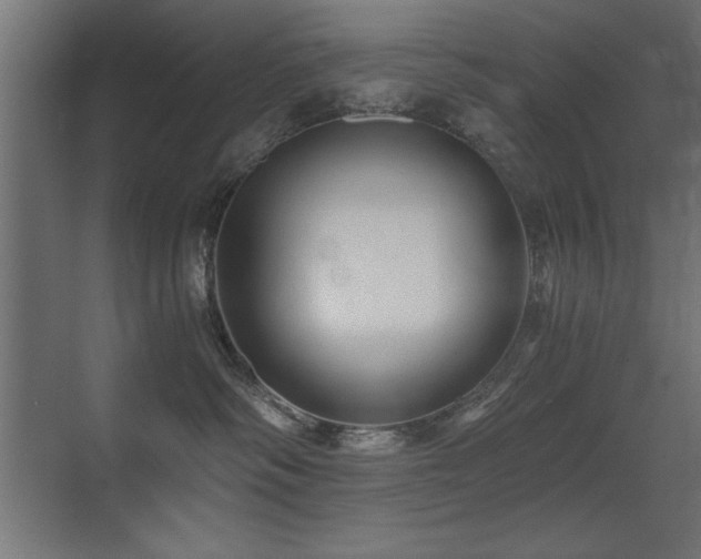 X0000071380334200606231252