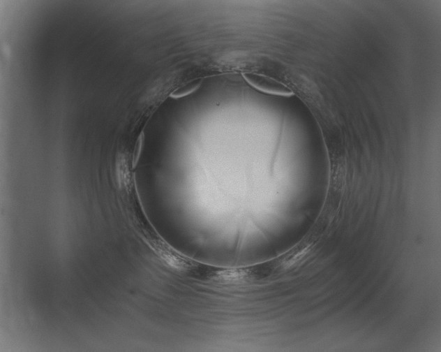 X0000071380335200606231252
