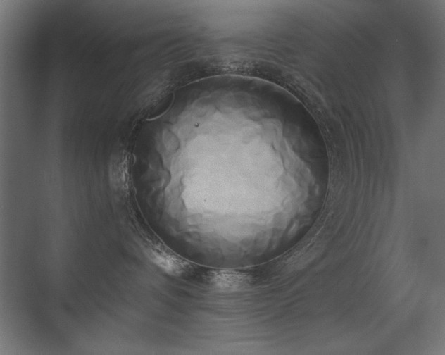 X0000071380336200606231252