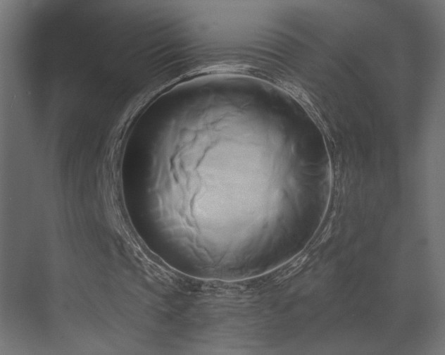 X0000071380337200606231251