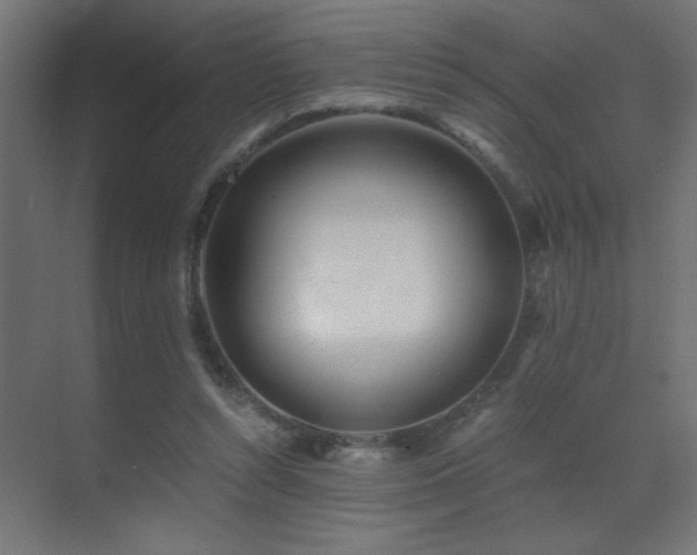 X0000071380352200606231252