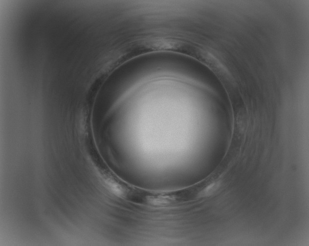 X0000071380359200606231252