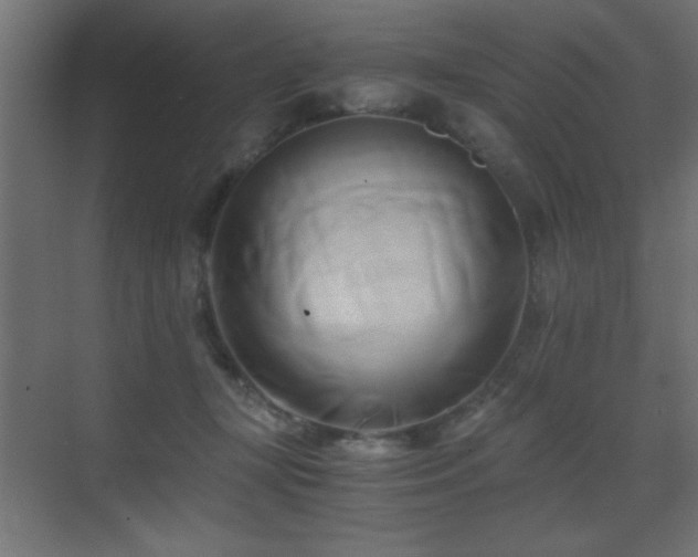 X0000071380367200606231252
