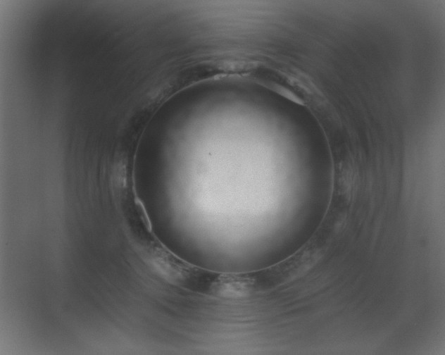 X0000071380368200606231252