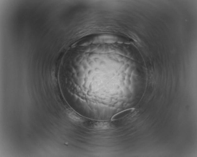 X0000071380377200606231252