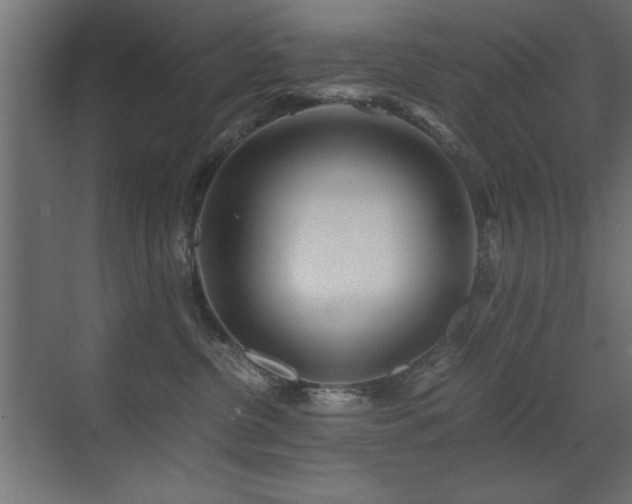 X0000071380380200606231252