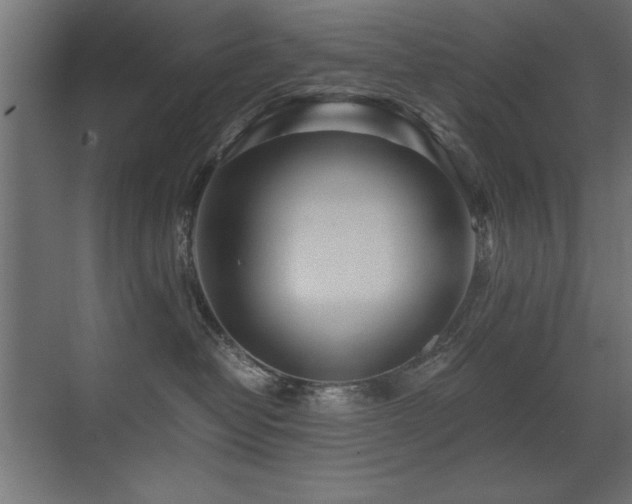 X0000071380382200606231252