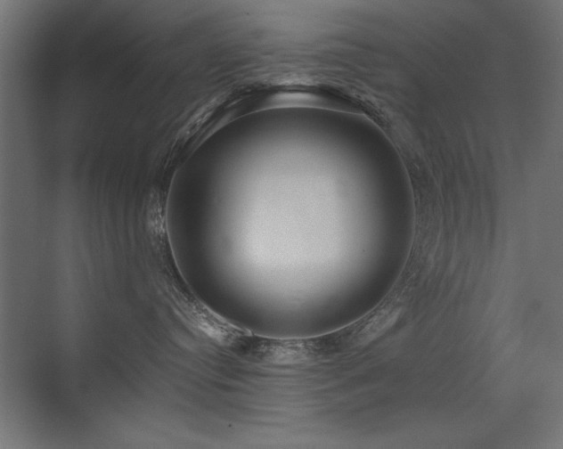 X0000071380384200606231252