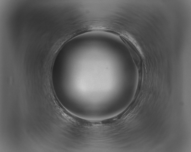 X0000071380385200606231251