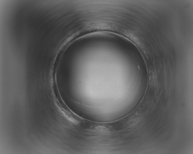 X0000071380390200606231251