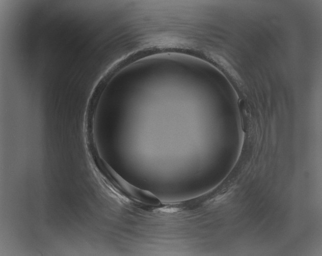 X0000071380391200606231251