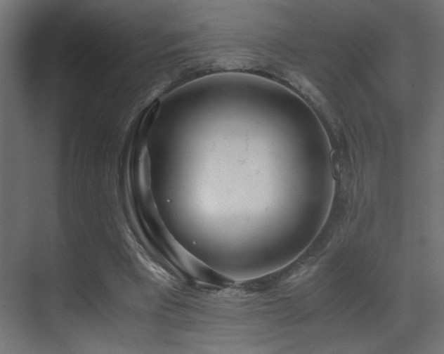 X0000071380393200606231251