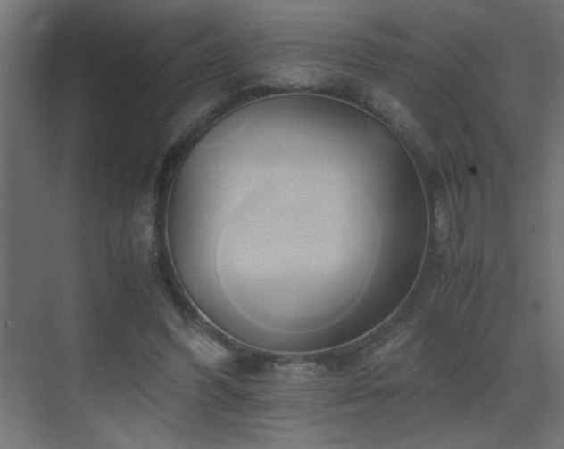 X0000071380396200606231251
