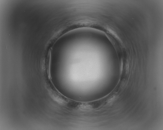 X0000071380403200606231251