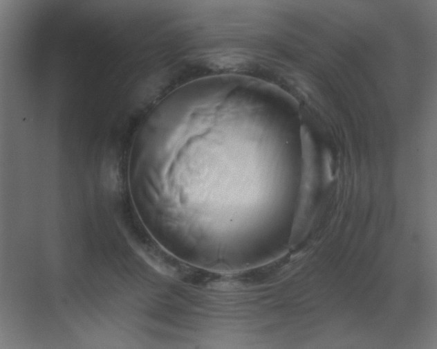 X0000071380408200606231251