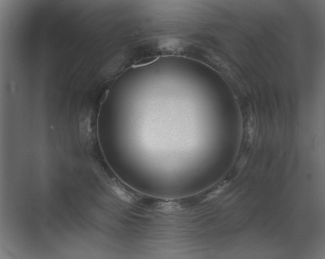 X0000071380424200606231251