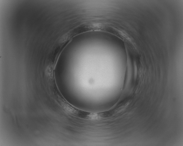 X0000071380425200606231251