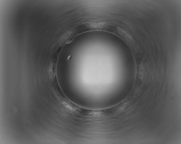 X0000071380428200606231251