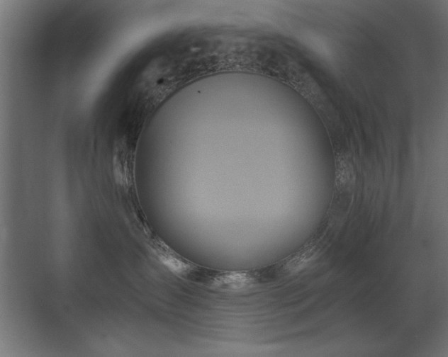 X0000071380431200606231251