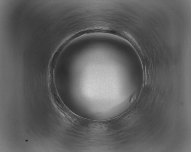 X0000071380435200606231250