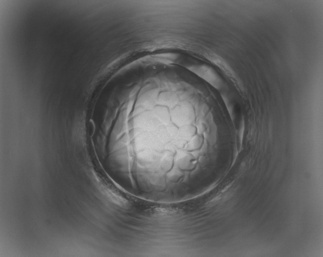X0000071380442200606231250