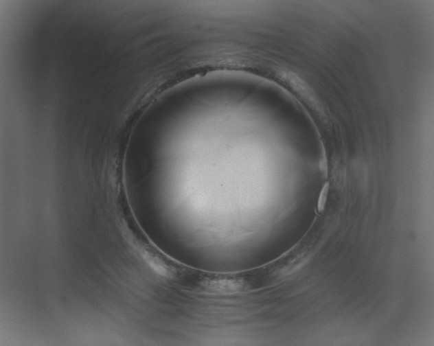 X0000071380449200606231250
