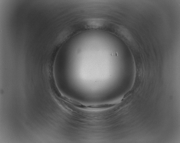 X0000071380455200606231250