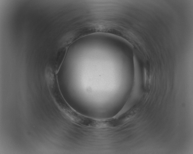 X0000071380456200606231250