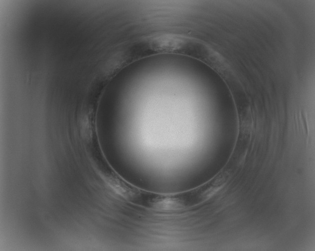 X0000071380460200606231250