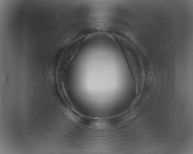 X0000071380466200606231250