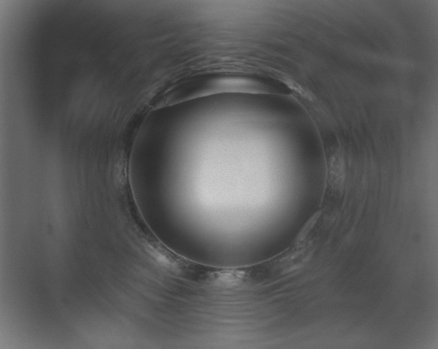 X0000071380474200606231250